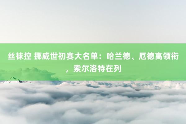 丝袜控 挪威世初赛大名单：哈兰德、厄德高领衔，索尔洛特在列